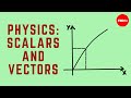 Physics in Action: Scalars, Vectors, and Motion in a Game Scenario