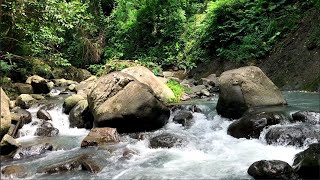 Peaceful Flowing River Ambience | Gentle Water Sounds for Meditation &amp; Inner Peace
