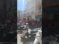 ATABALAKNET 2026: Epic Drum Festival in Canet de Mar, Catalonia! 🥁 #canetdemar #dance #spain