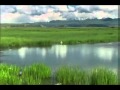 لبيه ياساره ولبيه يامنيره تصميم احساس مبعثر لبيه ياساره ولبيه يامنيره تصميم احساس مبعثر