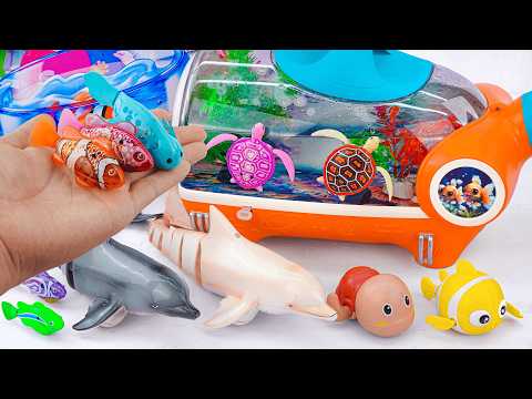 [Toy asmr] 🐠 Robo Fishing Playset &amp; Zuru Alive Aquarium ASMR Satisfying with Unboxing Review Toys