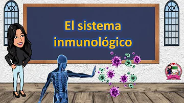¿Cuál es la función principal del sistema inmunológico?