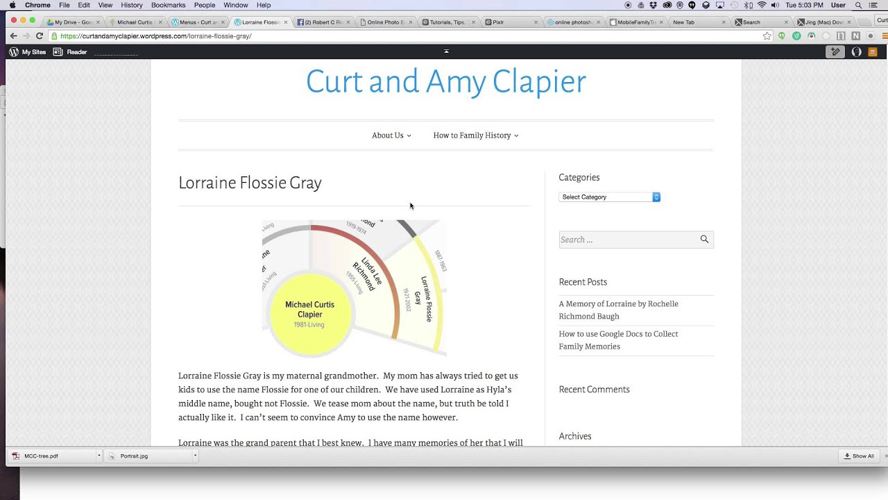 Genealogy Fan Chart Software