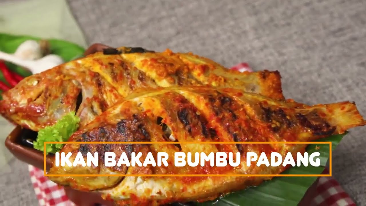 Resep Ikan Bakar Bumbu Padang Yang Bumbunya Meresap Bangeet Youtube