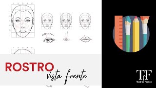 Trazo de rostro: Vista de frente