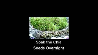 Soil-less Microgreen Chia Seeds