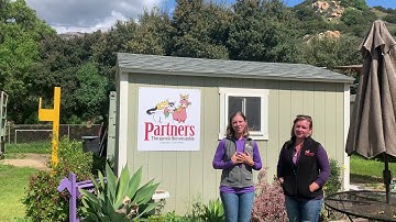 Volunteer Introduction video