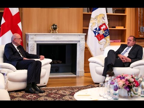საქართველოს პრეზიდენტი გერმანიის ელჩს შეხვდა
