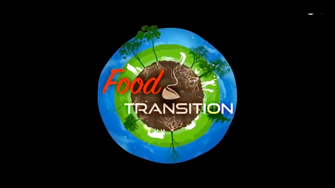 Food Transition Teaser EN YouTube