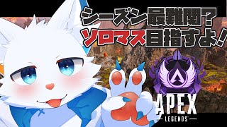 【Apex】S20ソロマスターチャレンジ13日目【旅猫シロ/ケモノVtuber】