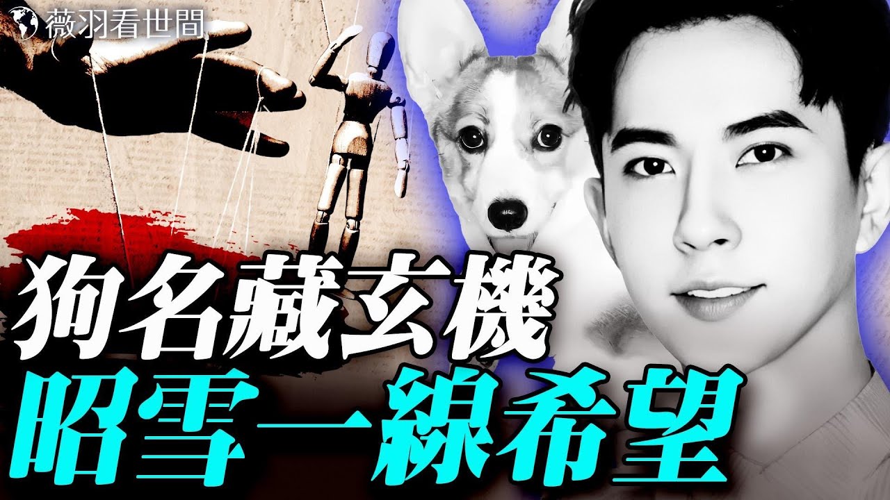 朦朧早就被控制，狗狗名字已暗示；10月還有最後一線申冤機會；陪酒、下藥、潛規則、賠償金，娛樂公司簽約黑幕。｜薇羽看世間 20250927