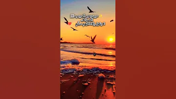 حين يعبر الحبيب ﷺ الصراط لا يقول إلا اللهم سل م اللهم سلم دعاء النبي الصراط محمد رسول الله 