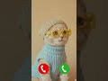 Cute Cat Yellow Goggles Cat Ringtone Cat Music Newringtone Cute Calling Cute Cat Yellow Goggles Cat Ringtone Cat Music Newringtone Cute Calling