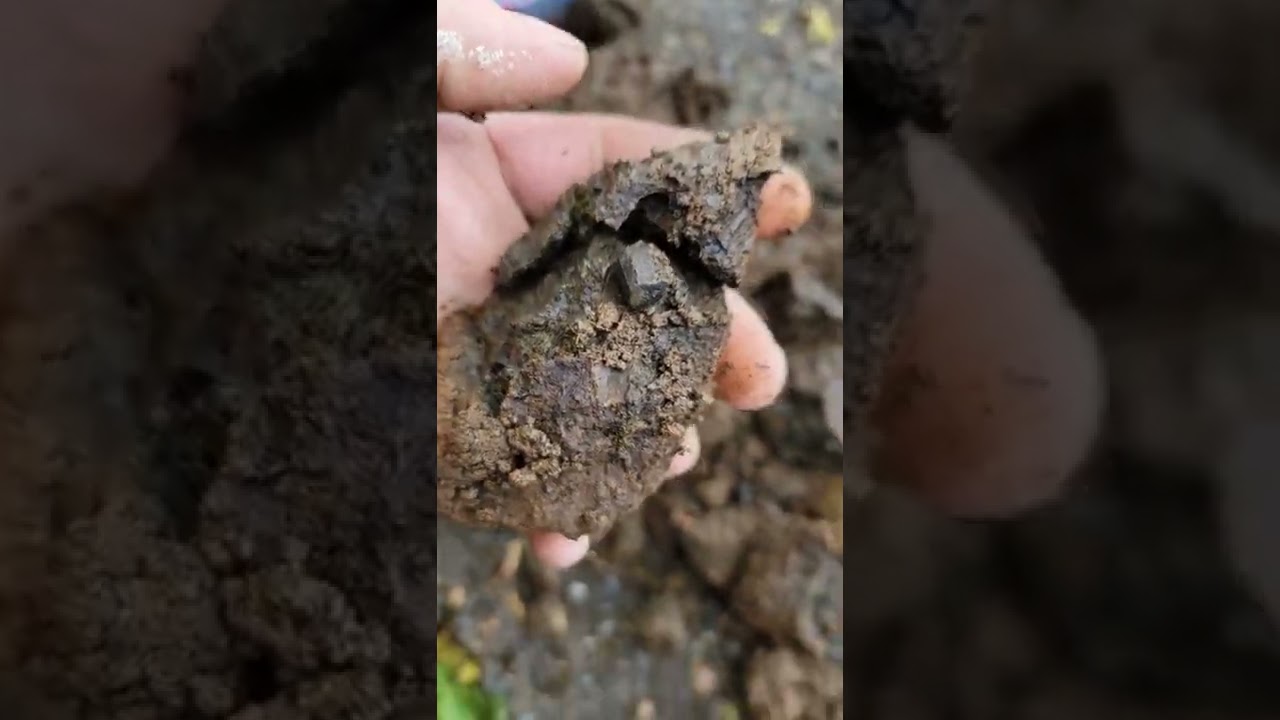 💥🔮❄️Augite❄️🔮💥