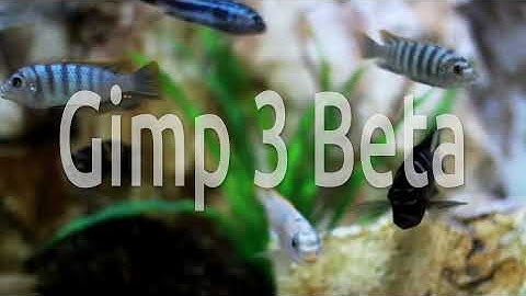 How to install Gimp 3 Beta on Linux Lite 5.4