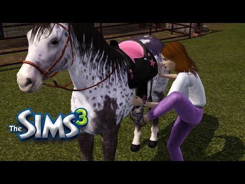 Video: The Sims 3: Pengembaraan Dunia