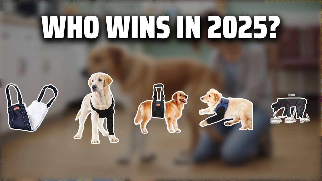 The Top 5 Best Dog Recovery Sleeve in 2025 - Must Watch Before Buying!