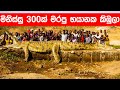 ලෝක ඉතිහාසයේ භයානකම මිනීමරු සතුන් හයදෙනා ගැන දැනගමුද? | Most Dangerous Animals in History | Sinhala