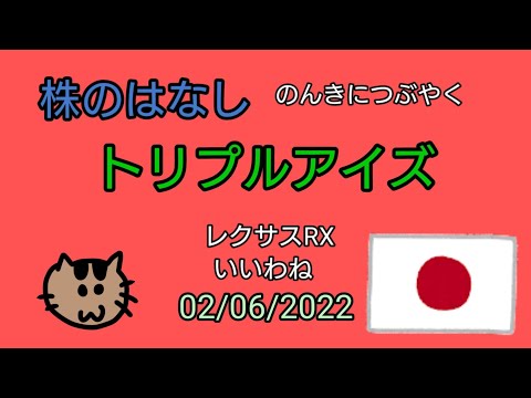【トリプルアイズ】株のはなし　のんきにつぶやく