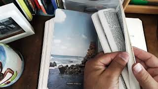 My New Favorite RSV Bible by Collins