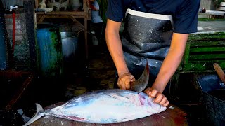 NICE CUTTING STYLE || BIG SKIPJACK FISH CUTTING 2024 BY EXPERT FISH CUTTER