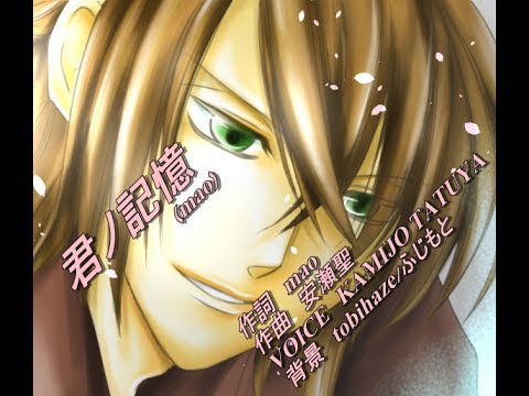 「君ノ記憶/mao」(薄桜鬼 ED)歌ってみた[KAMIJO]