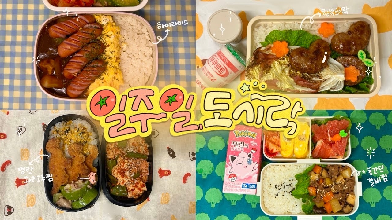 회사 점심시간 작은 행복..!✨일주일 도시락 모음 #77