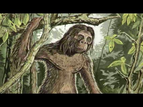 Vidéo: Les Nains De Floresian Et Le Mystérieux Orang-pendek De Sumatra Sont-ils Les Mêmes Créatures? - Vue Alternative