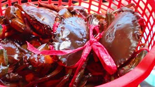 Cambodian Fresh Seafood - Most Popular Khmer Food Market