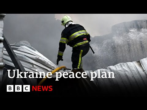 US President Trump S Envoy To Have Ukraine Peace Plan Talks At Kremlin BBC News