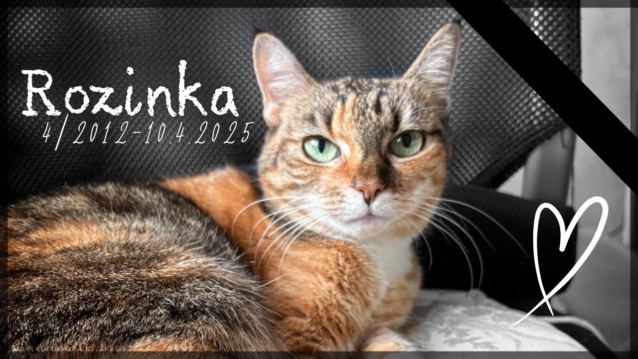 Rozinka Rozinka || 2012-2025🖤 - YouTube