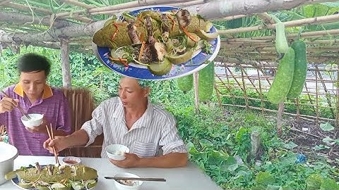 Ẩm Thực Miền Tây/Cá Lóc Hấp Bầu Làm Theo Cách Này Lạ Mắt Mà Lại Ngon/Snakehead Fish Steamed Elected.