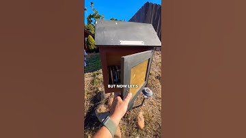 Have you ever seen a mini library? There’s a GOOD chance that a cache is hidden inside or nearby! 👀