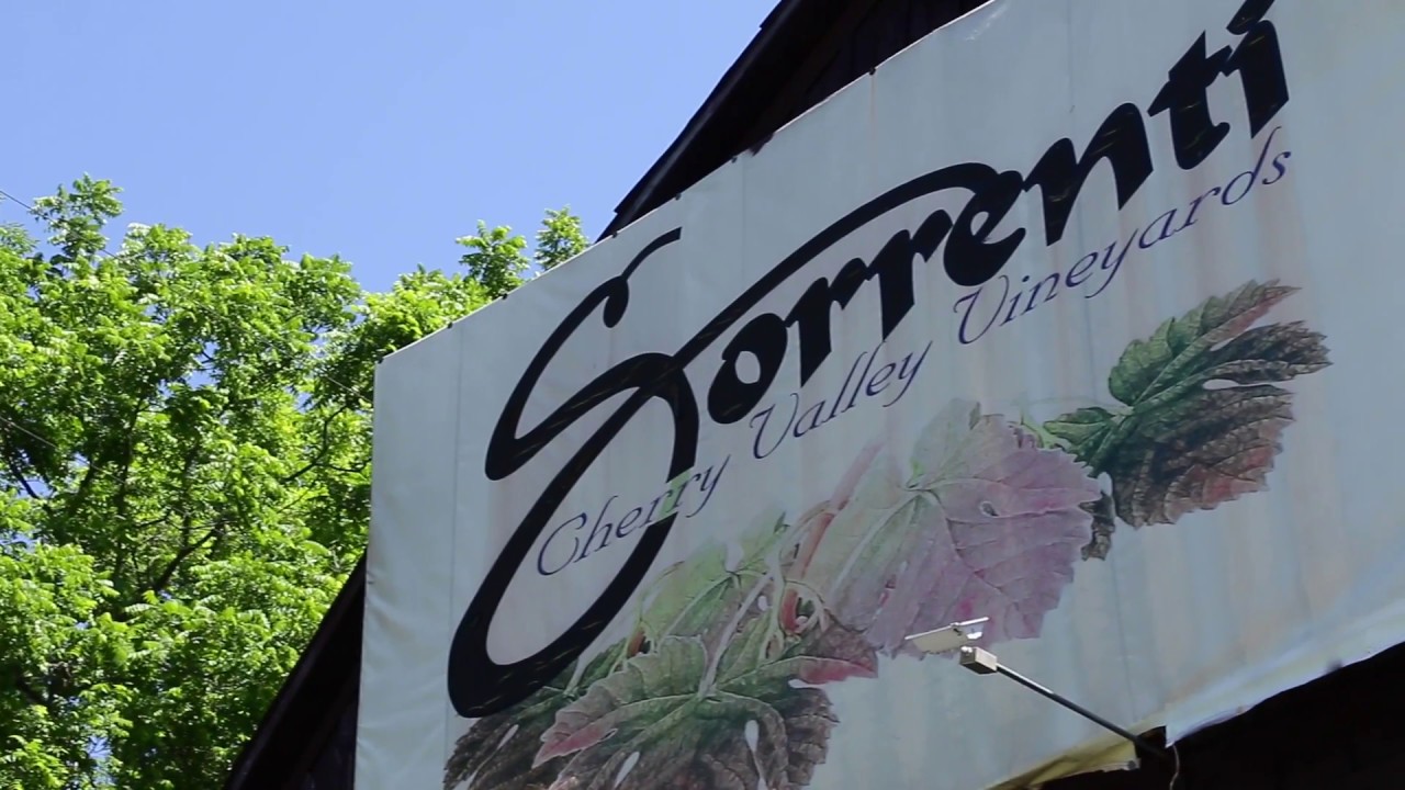 Sorrenti Cherry Valley Vineyards Saylorsburg PA YouTube
