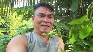 Download Lagu Resipi Terbaru Dari BS😋, Ngabang Tua I Nya 😍 MP3 Download Lagu Resipi Terbaru Dari BS😋, Ngabang Tua I Nya 😍 MP3