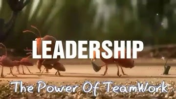 The leadership and skills - csucc-citte the group 8 bsindt