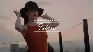 Andrei Toc & Dj Dany - Iubesc (Radio Edit)