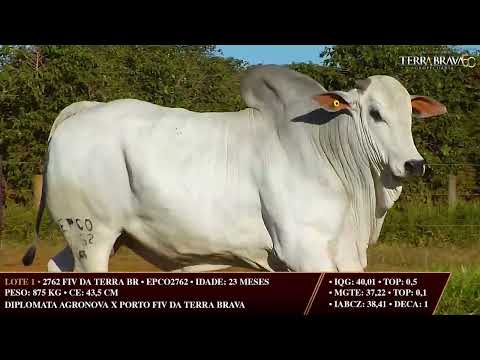 LOTE 01   EPCO 2762