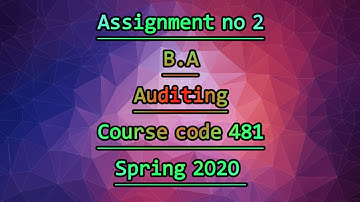 481 Auditing 2nd assignment 2020
