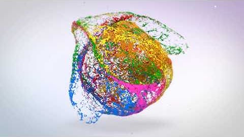 Create a colorful paint logo reveal animated video