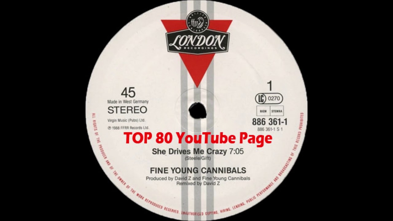 Fine Young Cannibals - She Drives Me Crazy (A David Z Remix Version)