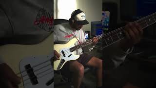 Unlocking Bass Power with the SoloDallas BASS-X