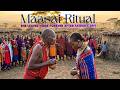 She Leaves Home Forever After Father’s Spit - Inside Shocking Maasai Tribal Wedding Ritual