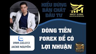 HIỂU ĐÚNG BẢN CHẤT ĐẦU TƯ DÒNG TIỀN FOREX ĐỂ ĐẠT LỢI NHUẬN TỐI ĐA | TRADING TV