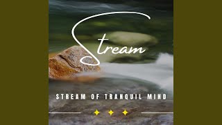 Tranquil Stream Focus