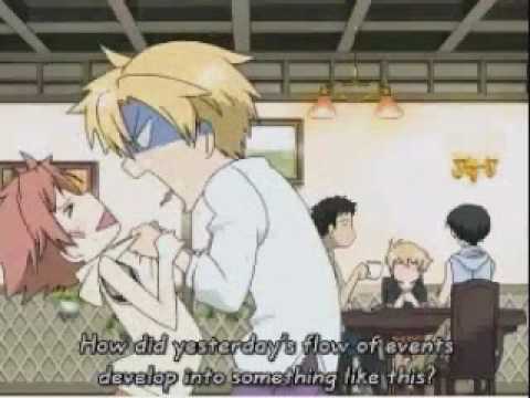 If you were gay-Ouran High School Host Club