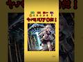 宇宙人から逃げて!part2#クイズ #ミニゲーム #宇宙人 #心霊