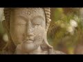 You Are Silence Itself ~ Guided Meditation with Sri Mooji
