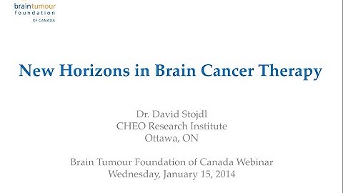 Oncolytic Viruses and New Horizons in Brain Cancer Therapies