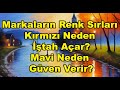Markaların Renk Sırları: Kırmızı Neden İştah Açar, Mavi Neden Güven Verir? | Derinlemesine Analiz